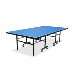 Mesa Profesional de Pingpong